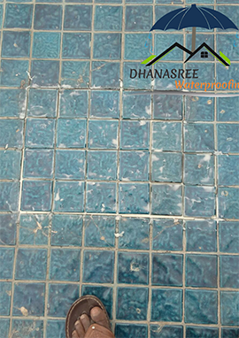 Swimming Pool Waterproofing Services